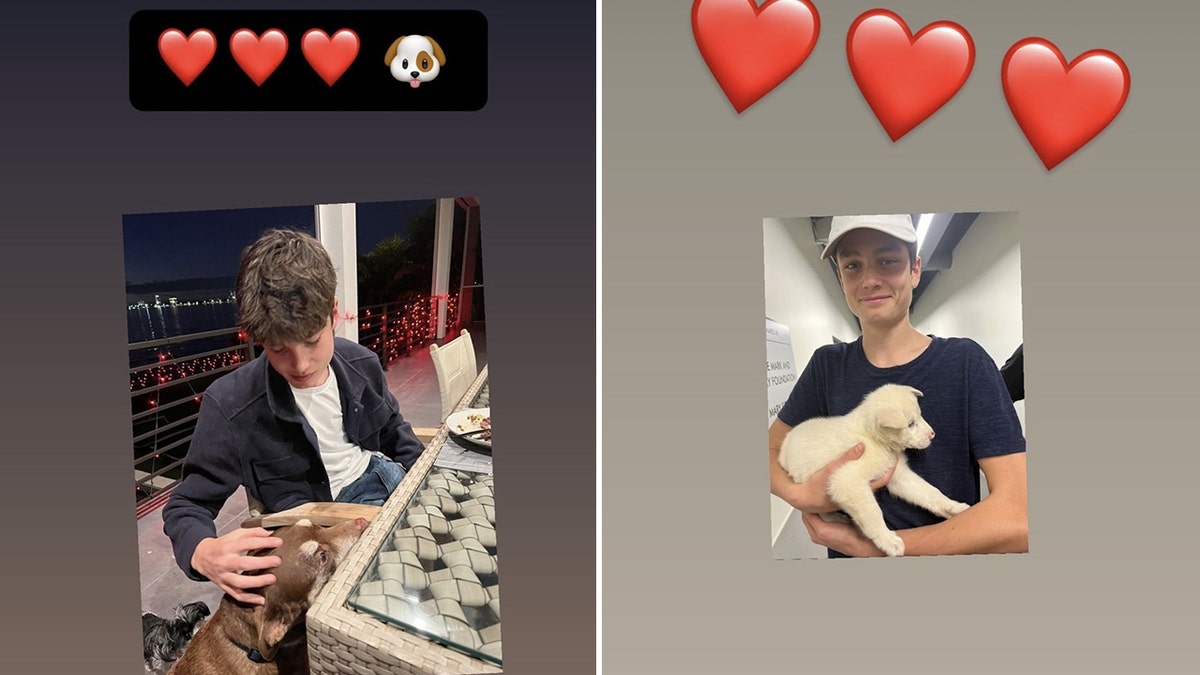 Jack Moynahan pets family dog Lua in one Instagram story posted by Tom Brady split Jack Moynahan holds a light colored dog with the caption "HVD" 