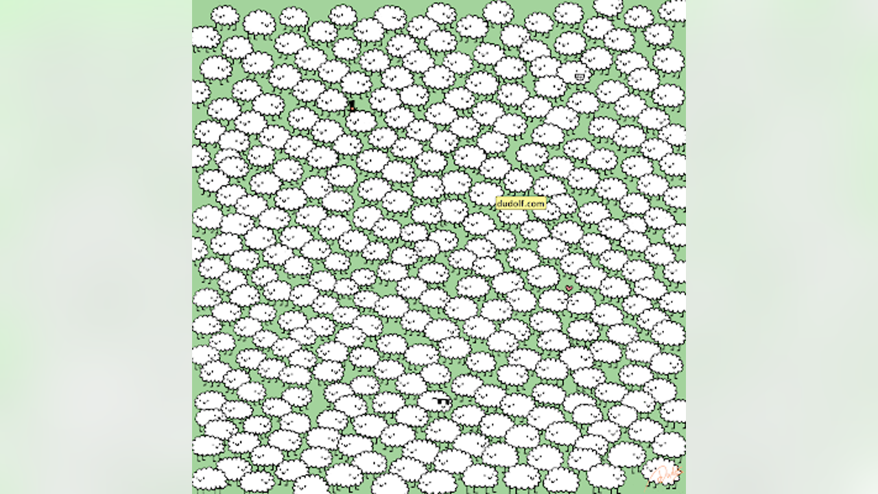 Brain teaser: Can you find 3 white clouds hidden in a flock of 
