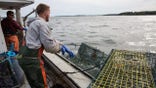 Maine lobstermen haul in their latest catch off the states coast.