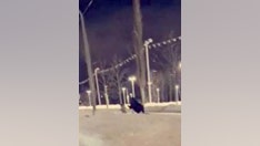 Huge moose kicks Alaska woman in the head after sneaking up on her