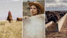 How a first-generation rancher uses Instagram to dispel 'preconceived notions' about beef production