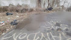 Tennessee cops seek suspect who killed 'official' state animals, dumped bodies under bridge