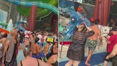 Amusement park mayhem: 4 times outdoor fun descended into horrifying chaos