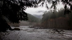 Missing Washington woman ID’d from severed human foot found in shoe that washed ashore