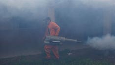 Bolivian hospitals struggle as dengue outbreak kills dozens