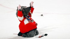 Florida Panthers mascot, fan get into melee; team launches investigation