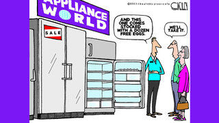 Political cartoons of the day