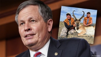 Members of Congress troll social media with hunting photos after Sen. Daines was put in 'Twitter jail'