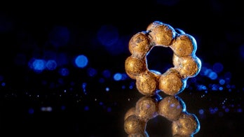 'Jerusalem of Gold': Volunteer unearths artifact of 'great value' at archaeological site