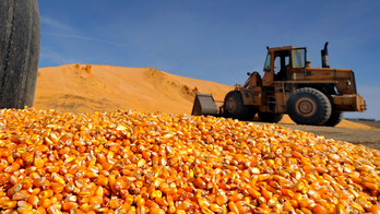 ND mayor vows to stop corn mill over Chinese security threat, says government's response was 'lackluster'