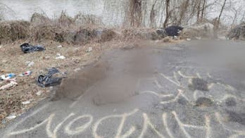 Tennessee cops seek suspect who killed 'official' state animals, dumped bodies under bridge