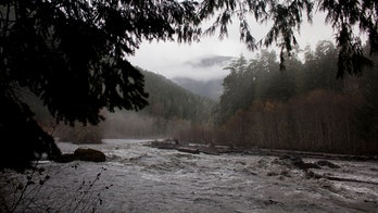 Missing Washington woman ID’d from severed human foot found in shoe that washed ashore