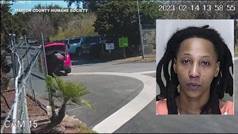 Disturbing video appears to show Florida woman throwing puppies into bushes at animal shelter