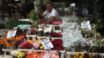 Valentine's Day flowers discouraged over environment concerns: 'Consider paper flowers''