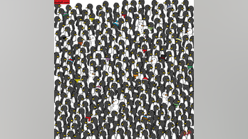 Brain teaser: Can you find 3 cats hidden in a sea of penguins?