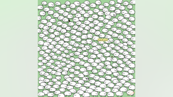 Brain teaser: Can you find 3 white clouds hidden in a flock of fluffy sheep?