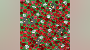 Valentine's Day brain teaser: Can you find 3 tiny hearts hidden in this rose garden?