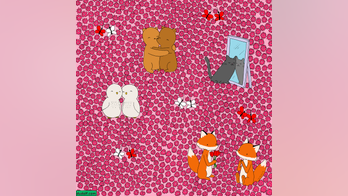 Valentine's Day brain teaser: Can you find the heart hidden in this flower pile?