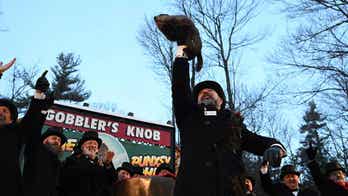 Move over, Punxsutawney Phil: Here are 8 other rodents making predictions on Groundhog Day
