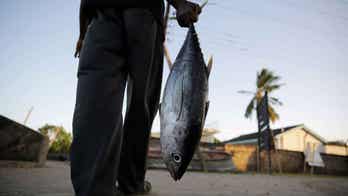 Indian Ocean countries agree to halt the use of industrial fishing gear that drastically depletes tuna stocks