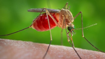 New mosquito repellent device could better protect US military service members