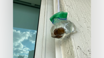 Repelling flies with water and pennies: Does the trick work?