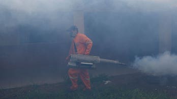 Bolivian hospitals struggle as dengue outbreak kills dozens