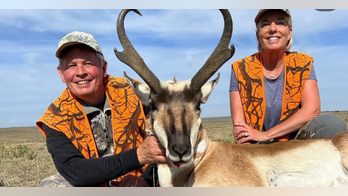 Twitter locks Sen. Steve Daines' account for 'graphic violence' over hunting photo