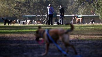 Washington man shot dead by armed father at dog park after trying to 'endanger' child's life: police