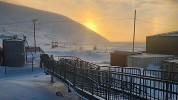 AK polar bear that killed a young mother, 1-year-old baby was in poor physical condition