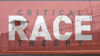 Illinois county injects 'racial equity' into criminal justice system with org steeped in CRT: 'Unprecedented'