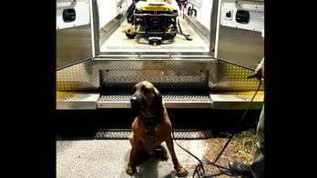 Florida police dog finds 76-year-old woman lost in woods after 20-hour search: 'Whew. Thank you!'