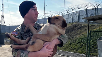 A dog and his soldier: Lieutenant's prayers answered after beloved pup he bonded with overseas is rescued