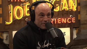 Rogan lampoons liberals for condemning health and fitness as far-right: 'Eat donuts and vote blue'