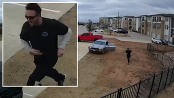 Texas carjacking suspect pulled gun on mother in front of her children, led police on chase: authorities