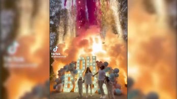Viral gender reveal fireworks video sets social media ablaze: 'Baby announcement or forest fire?'
