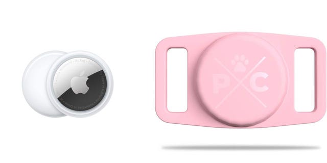 Stok foto alat pelacak Apple AirTag dan Pup Control yang digunakan untuk menemukan hewan peliharaan yang hilang.