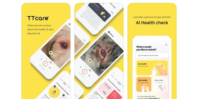 A new app could help you get your dog or cat healthier, faster.