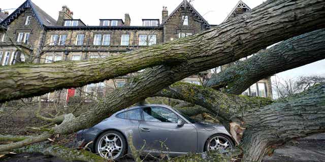 A Porsche is damaged by a fallen tree in Harrogate, North Yorkshire, on Feb. 17, 2023, as a result of storm Otto. The storm led to dozens of cancelations of train and ferry connections in Denmark and Norway.