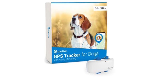 Stock photo of the Tractive GPS Tracker that allows you to follow your pet in real time.