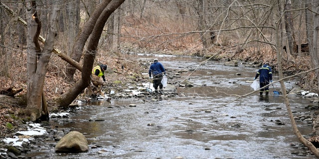An environmental company is removing dead fish downstream from the site of the train derailment that forced people to be evacuated from their homes in East Palestine, Ohio, U.S., February 6, 2023.  