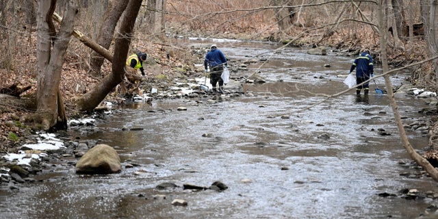 An environmental company is removing dead fish downstream from the site of the train derailment that forced people to be evacuated from their homes in East Palestine, Ohio, U.S., February 6, 2023.  