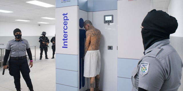 A gang member is processed at his arrival, after 2,000 gang members were transferred to the Terrorism Confinement Center, according to El Salvador's President Nayib Bukele, in Tecoluca, El Salvador, in this handout distributed to Reuters on February 24, 2023.