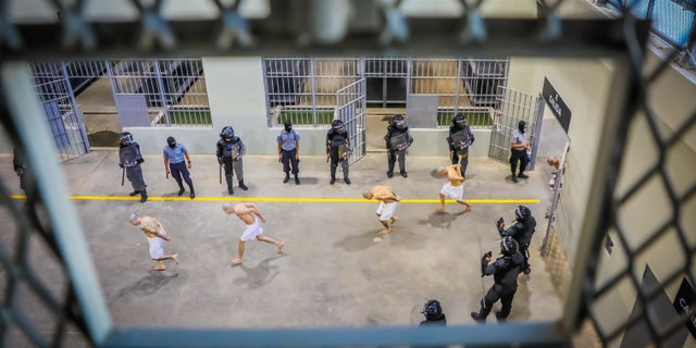 Prison agents observe inmates as they are processed at their arrival after 2,000 gang members were transferred to the Terrorism Confinement Center, according to El Salvador's President Nayib Bukele, in Tecoluca, El Salvador, in this handout distributed to Reuters on February 24, 2023.