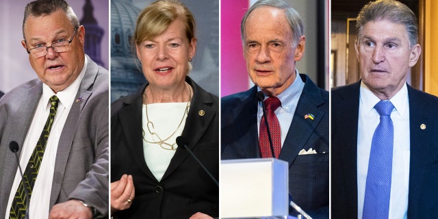 From left to right: Montana Democratic Sen. Jon Tester, Wisconsin Democratic Sen. Tammy Baldwin, Delaware Democratic Sen. Tom Carper, and West Virginia Democratic Sen. Joe Manchin.