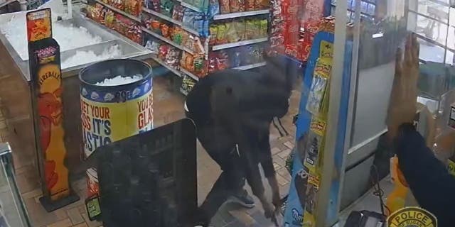 Texas armed robber runs for his life after store clerk turns the tables 2 Police in Sugar Land, Texas, are looking for a robbery suspect who was chased out of a store by an armed clerk.