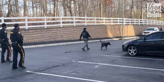 K-9 with police