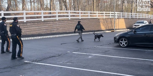 K-9 with police