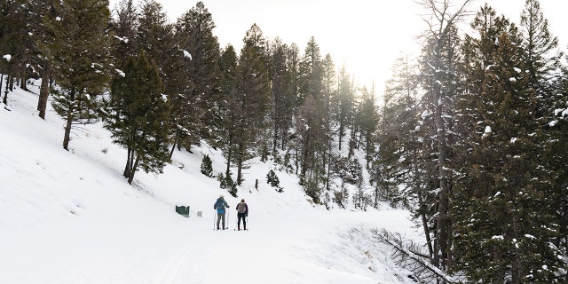 crosscountry skiing yellowstone