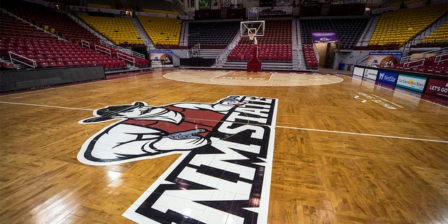 New Mexico state chancellor Dan Arvizu endorsed athletic director Mario Moccia three days after the basketball season was canceled due to hazing allegations.